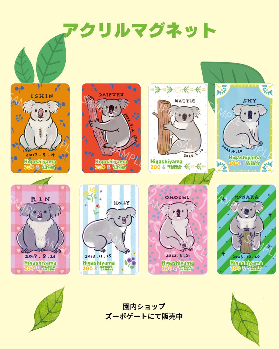higashiyama_prd's tweet photo. イラストレーターのNagi @nagisatelier さんが描きおろした、東山動植物園のコアラたちのグッズが登場！

Nagiさんならではの、個体の描き分けは必見です🐨🌿

#東山動植物園
#コアラ https://t.co/UT4Zv9OXIw