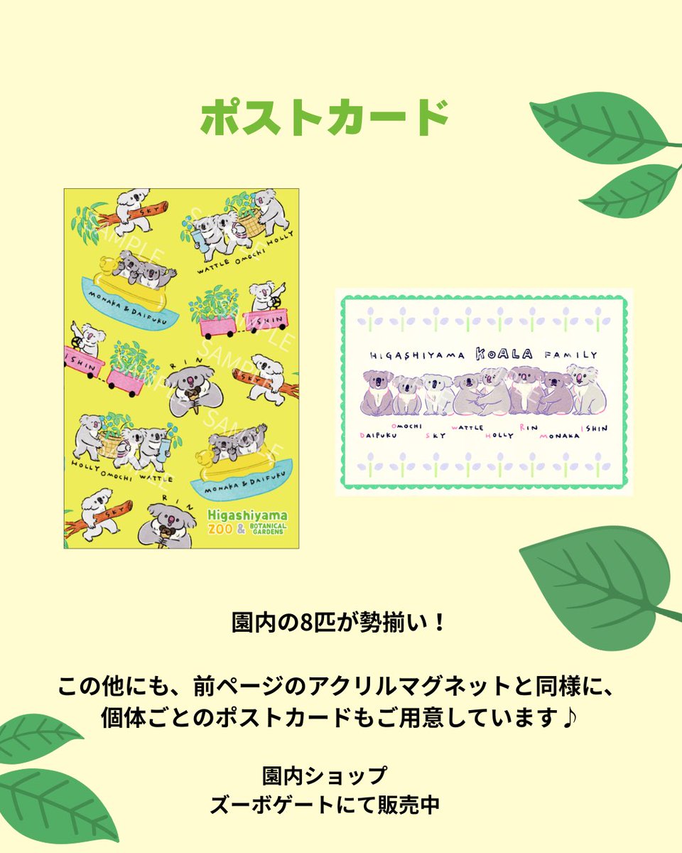 higashiyama_prd's tweet photo. イラストレーターのNagi @nagisatelier さんが描きおろした、東山動植物園のコアラたちのグッズが登場！

Nagiさんならではの、個体の描き分けは必見です🐨🌿

#東山動植物園
#コアラ https://t.co/UT4Zv9OXIw