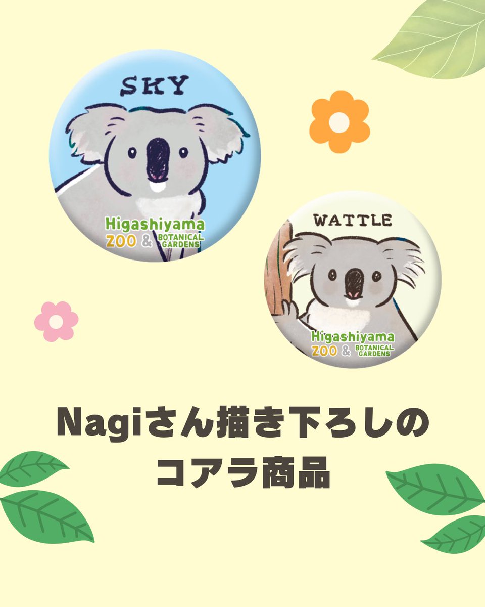 higashiyama_prd's tweet photo. イラストレーターのNagi @nagisatelier さんが描きおろした、東山動植物園のコアラたちのグッズが登場！

Nagiさんならではの、個体の描き分けは必見です🐨🌿

#東山動植物園
#コアラ https://t.co/UT4Zv9OXIw