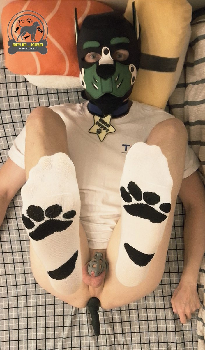pup_kira's tweet photo. ChΓΊc mα»«ng TαΊΏt Trung Thu! gau gau
#outdoor #exhibition #gay #sexgay #dog #puppy #public #outdoorfun #chastity https://t.co/YYhDdJYaTI