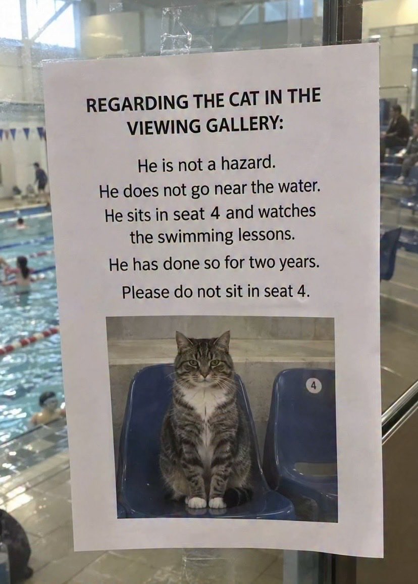 CatOfCrisis's tweet photo. https://t.co/bzcJRtQteq