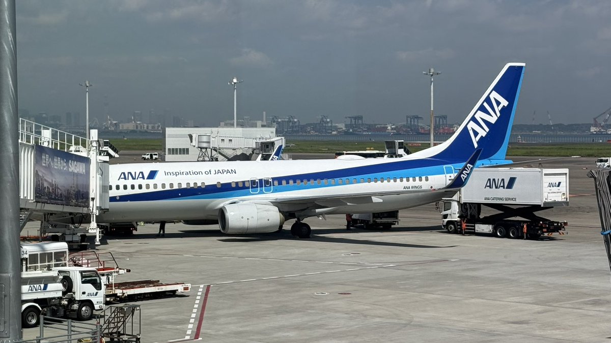 plt_2025student's tweet photo. 🛫flight log🛫

ANA flight 23 to Osaka Itami
B737-800 JA73AN

朝3時にタクシーがお迎えに来て…朝4:00からバイトして、そこからフライトするというほぼ徹夜状態で…😅
満席フライトでしたが、まぁ快適そのもの。

今日もしっかりと安全ビデオ凝視しました。
#JA73AN https://t.co/hmlkaIn1lj