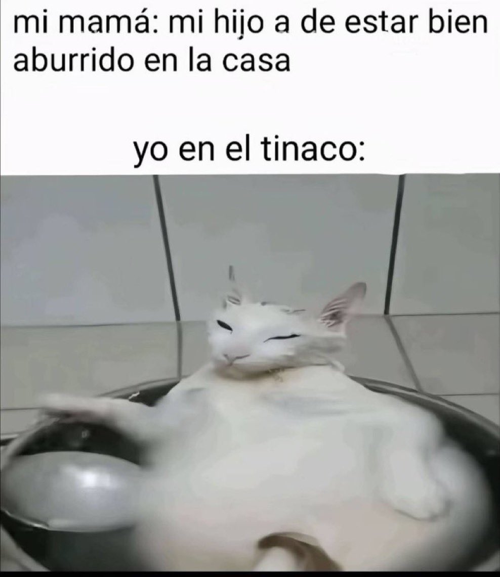 canibalncturno's tweet photo. https://t.co/80ACzZ7L6n
