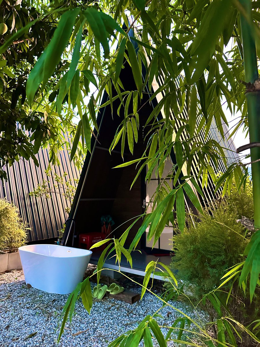 viking34resort's tweet photo. ชีวิตง่ายๆ ในสไตล์ Naturist 🍃
📌dm จองห้องพัก
#V34 #naturistresort
#naturistบ้านเพื่อน💚
#naturist #privatezone #naturistthailand #naked #nudism #outdoor #safezone https://t.co/yTyQKQJET7