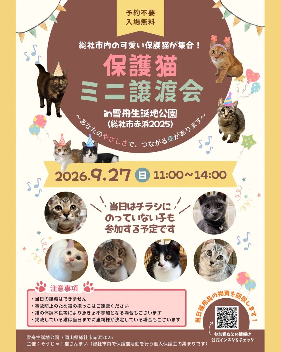 souichikataoka's tweet photo. ニャアちゃんを保護しました。譲渡会を開催します。優しい飼い主さんと出会えると良いねぇ。この子たちの将来の為、マッチングはしっかりとさせてください。
　拡散ご協力お願いします。 https://t.co/ecA8iayYBi