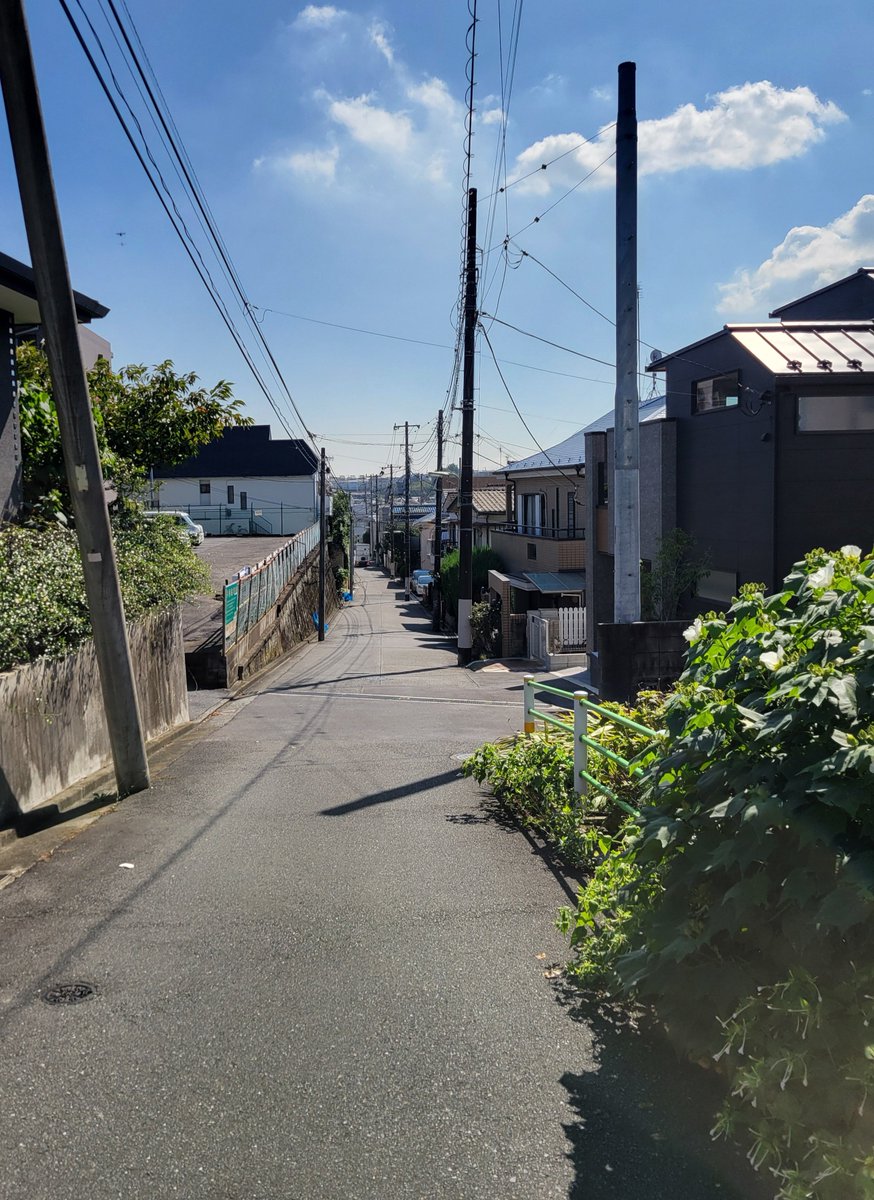 Rock69Ken's tweet photo. 次回の朝ドラ主人公 宇野千代さんが晩年 暮らしていた家があった真横にある坂⬇小２の時にオフィス家具用ベアリングを使い魔改造したスケボーで最速チャレンジ中、親友が肘からクラッシュして骨折したから🤭自分らは勝手に『骨折り損』の坂って命名してた🤣実家にいるから朝ドラとか観せられてる人🙋‍♂️🤭 https://t.co/e2L76EQGEo