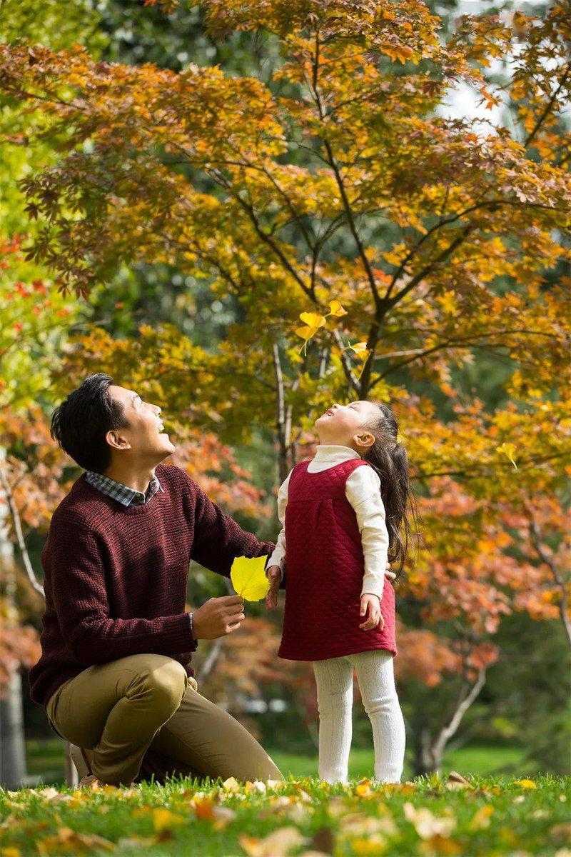 Sonnie81058550's tweet photo. [Today we hunted for leaf-shaped treasures in the backyard! Little hands found 3 oak leaves and 1 big maple  Quality time with my favorite tiny explorer]， https://t.co/elQdGwkrpM