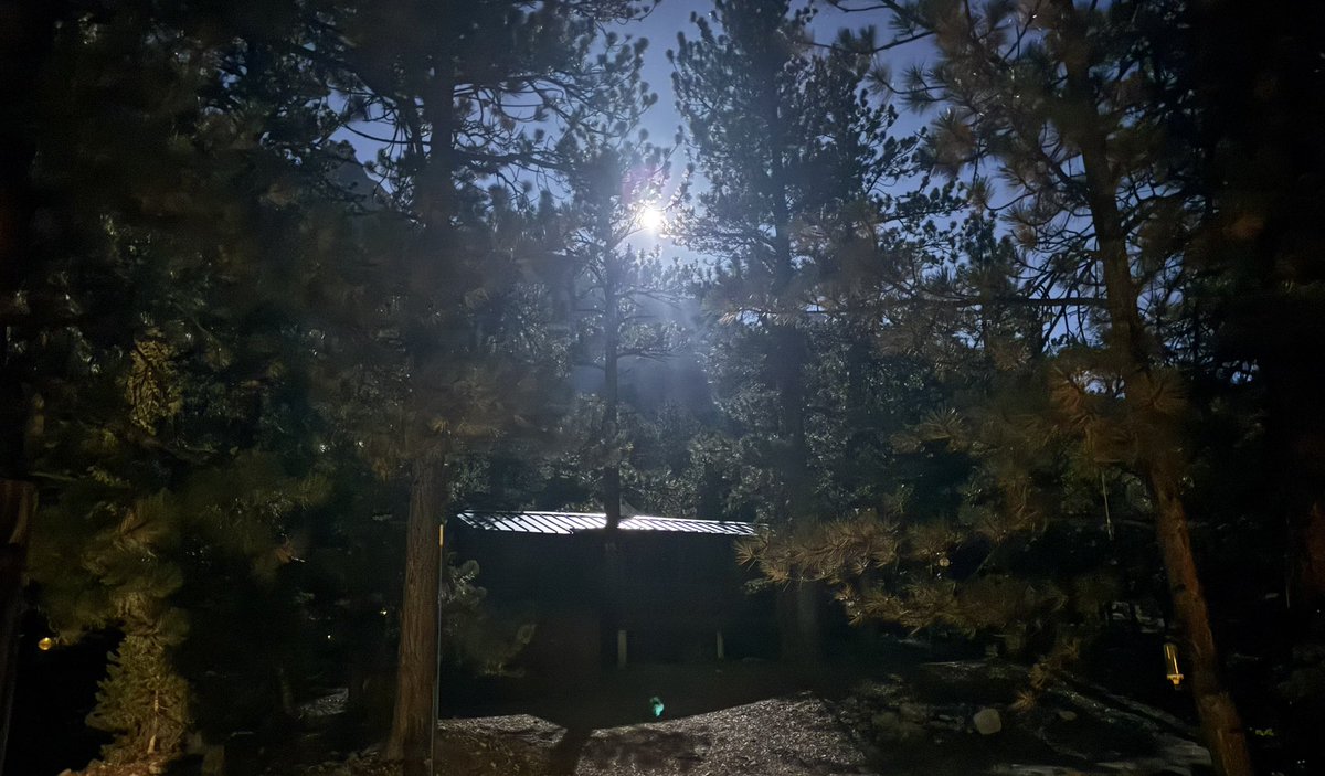 mountainman_mc's tweet photo. It’s 48°f in upper Lee Canyon at 10:30pm Wednesday night… 

There is something special about mountain moonlight https://t.co/KEUPl8nWBC