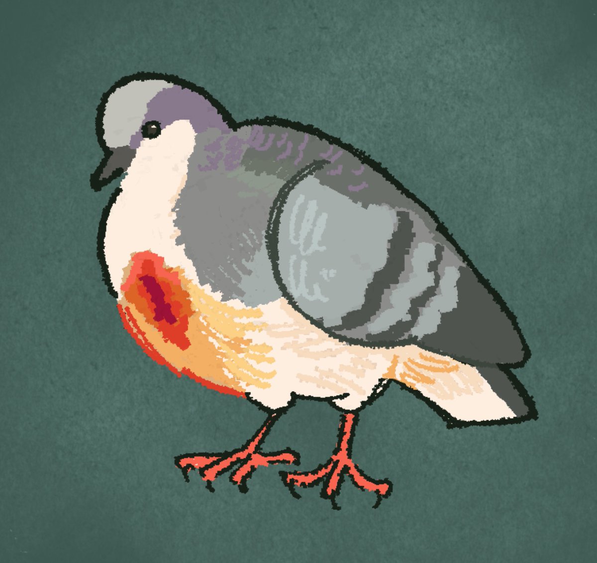 fieldfarer's tweet photo. luzon bleeding heart dove! hope its heart is ok... https://t.co/sCRT5XsteB