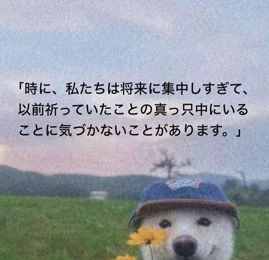 Iifeiyu's tweet photo. @Lipsum_dolor_ https://t.co/cir75ckEe5
