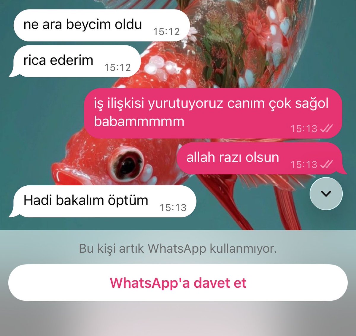 aleyyynag's tweet photo. hayatimda daha zoruma giden cok az sey oldu https://t.co/WdehzXkCrt