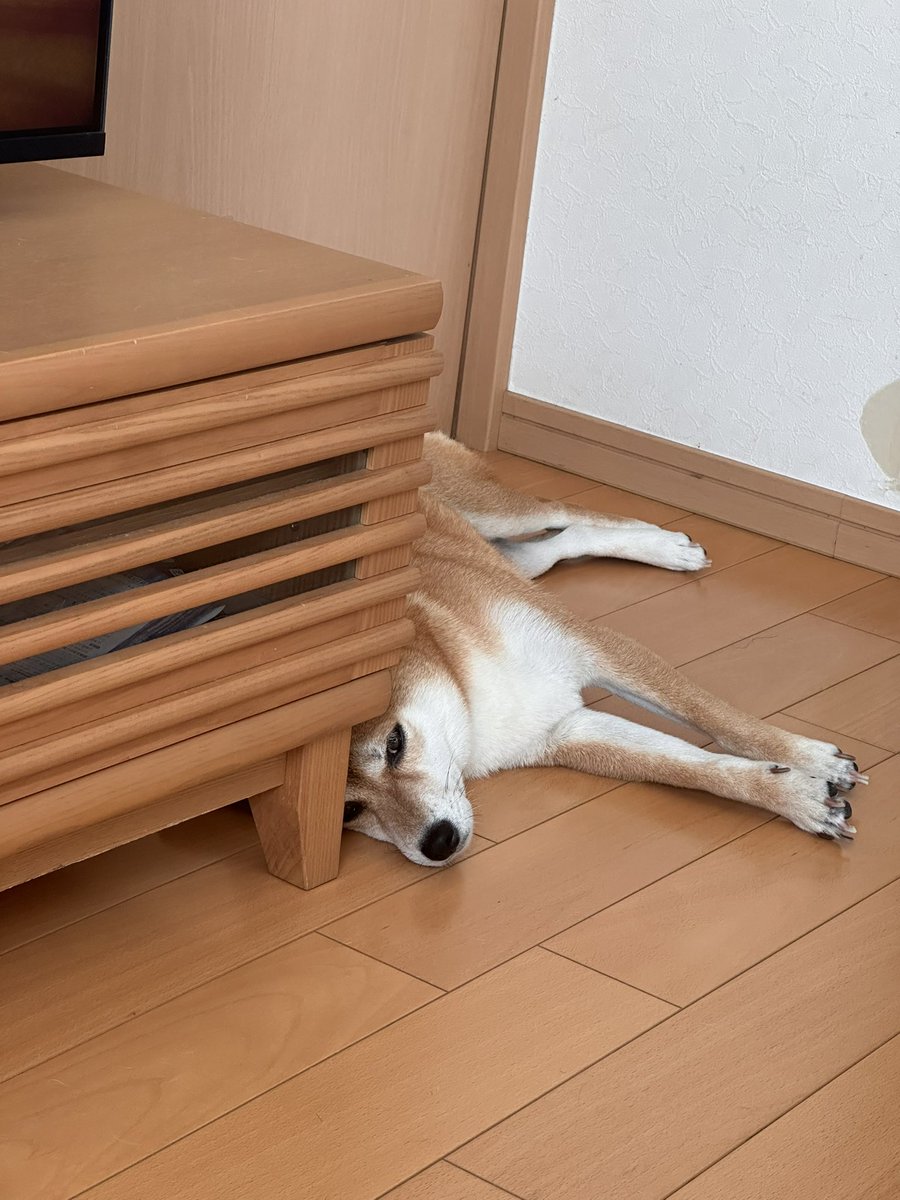 Ra7iaL_VII's tweet photo. すごい笑顔なやつと拗ねてるやつ https://t.co/QtJR8Z73CC