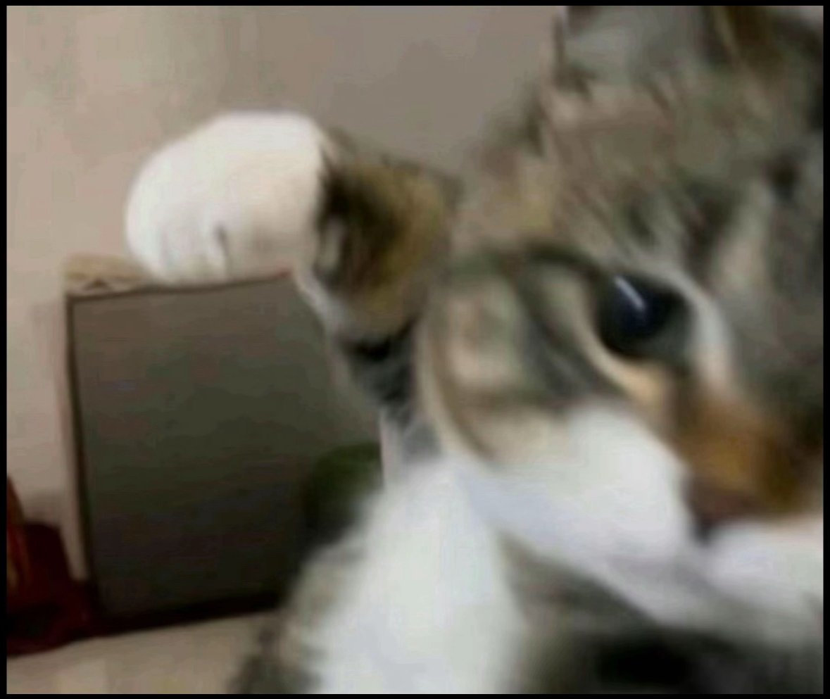 DoubLSnowKitten's tweet photo. @LizardBoi06 Gonna beat you up https://t.co/YFtyRrQ3Ia