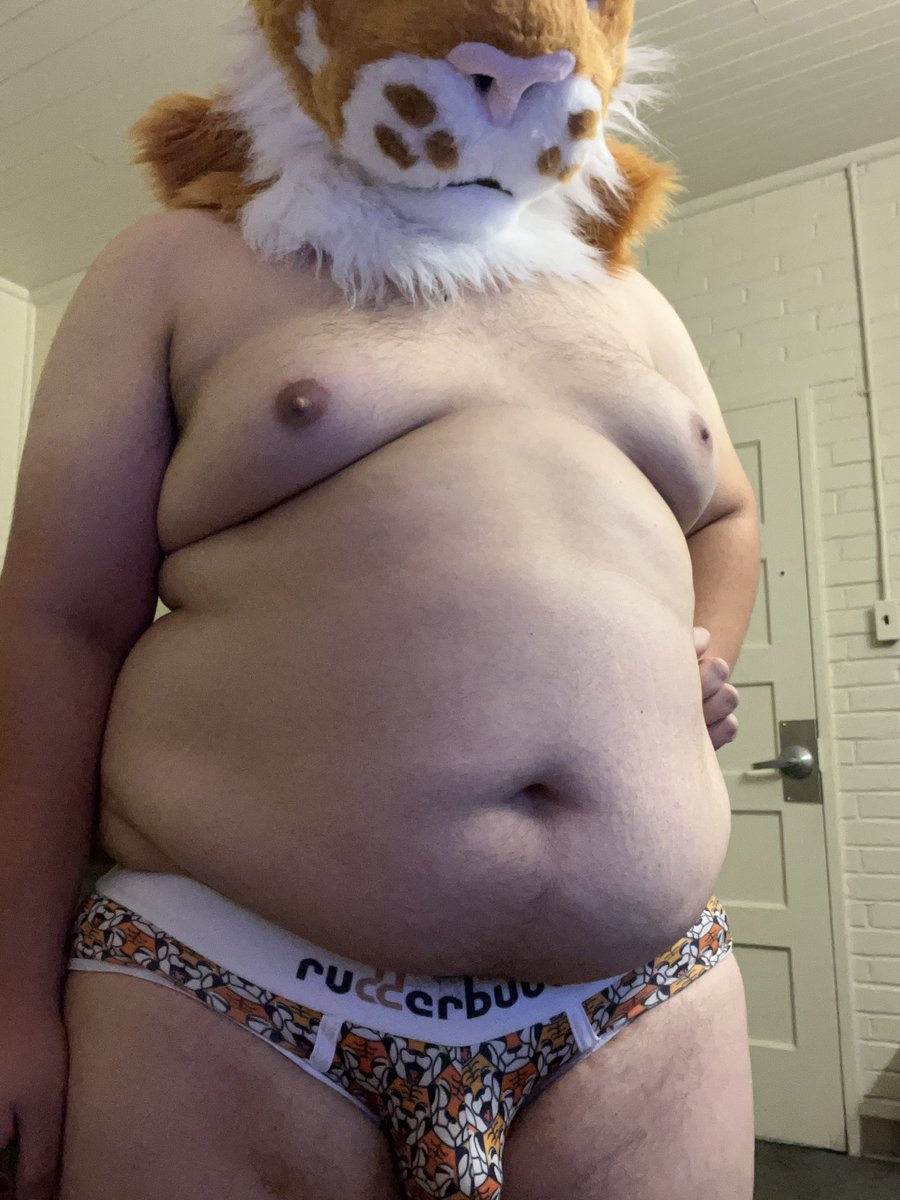 felidih's tweet photo. Happy fat bear (tiger) week 

#Rudderbutts https://t.co/HBq5adwP7K
