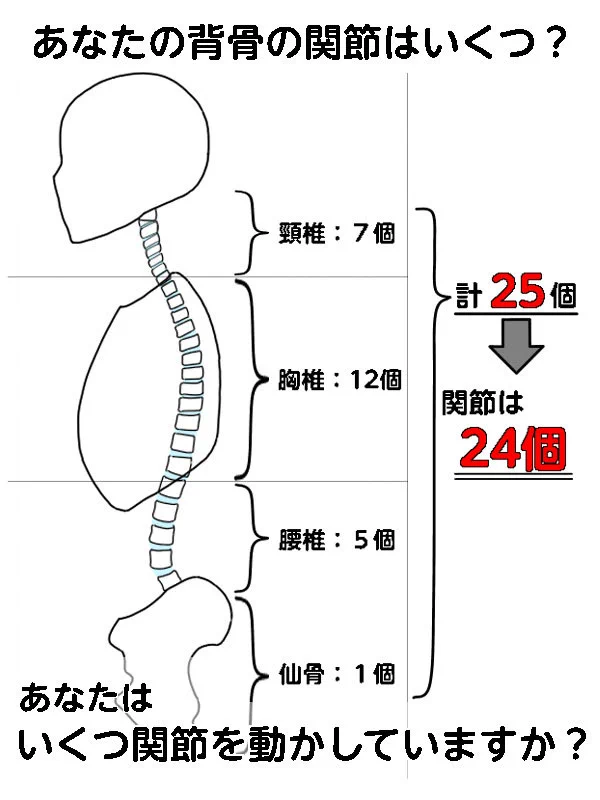 知力の背骨 ヒトリ@出張セラピスト on X: 