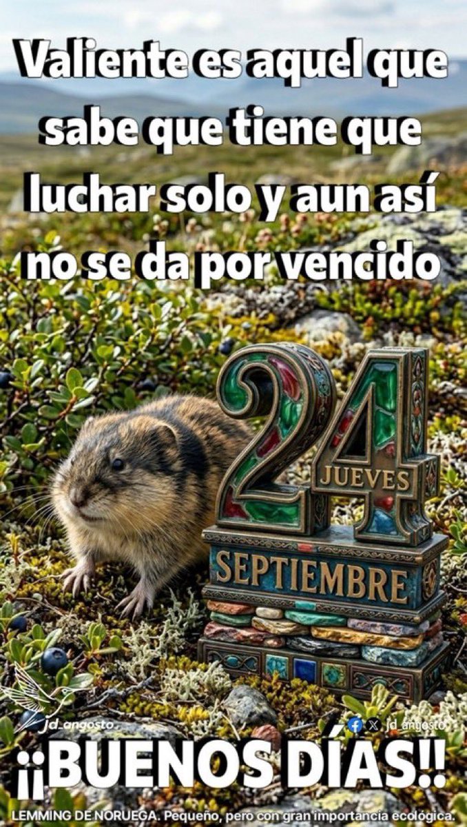 jesussb123's tweet photo. https://t.co/SfRC50xWZx