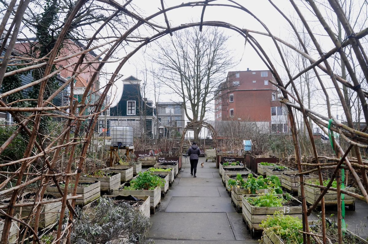 rtvzaanstreek's tweet photo. Regio:
Wat Ben opviel:
In 2006 maakte ik een foto van een café aan de Hogendijk later brandde het uit. Enkele jaren was er een buurttuin. Nu staat er al weer een aantal jaren nieuwbouw.
#Zaanstad #Hogendijk #nieuwbouw #zaandam
📷Ben Rijks https://t.co/7TGIJTpR3j