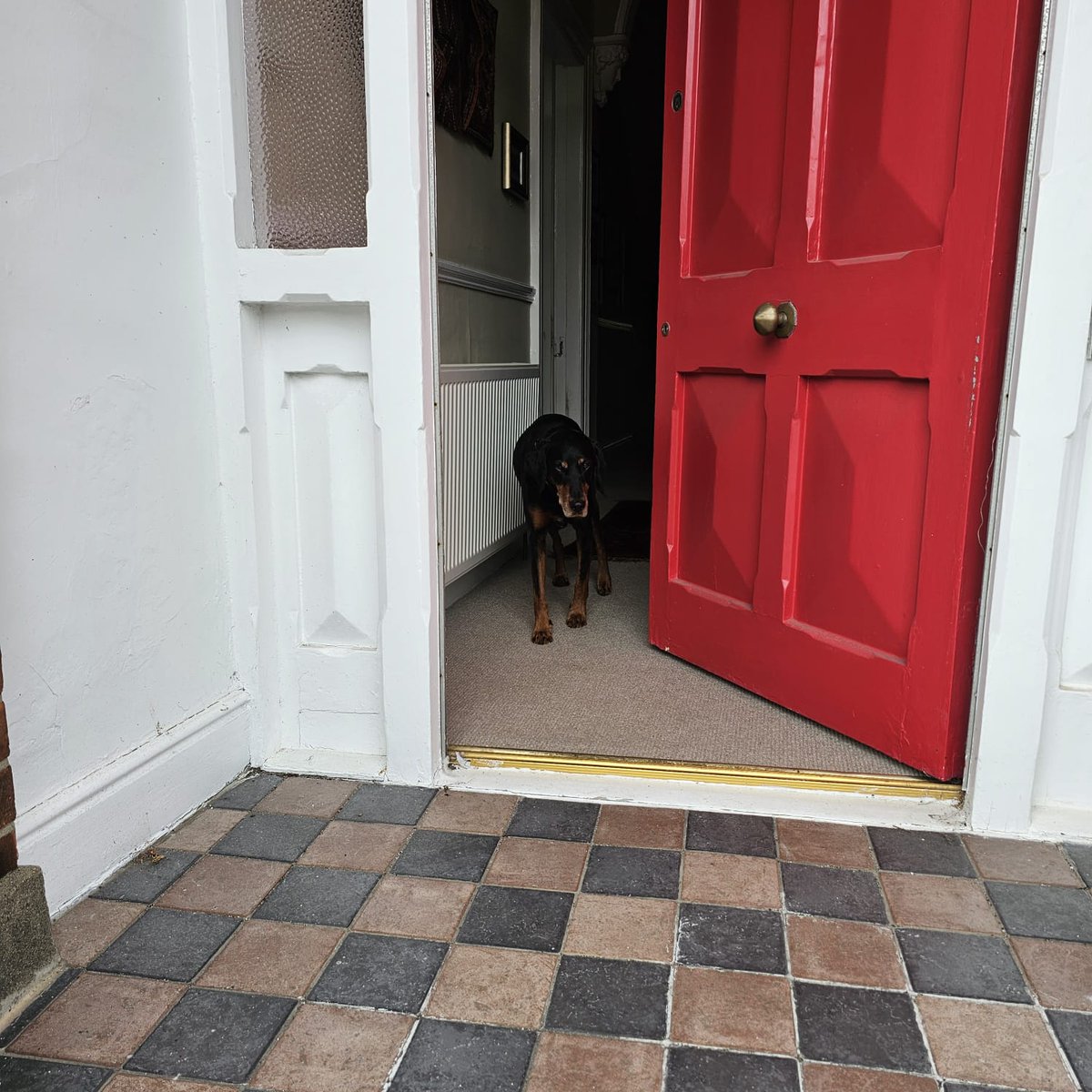 AnaMoretto4's tweet photo. #AlphabetChallenge #WeekLforLookingIn
#AdoorableThursday #DailyDoor #doors #NoContextDoors
#Shackleton's childhood house in #Dublin, Ireland. https://t.co/z1Tm273CwU