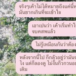 Photo by น้องแชง♡🎞️ (@soncy_int)