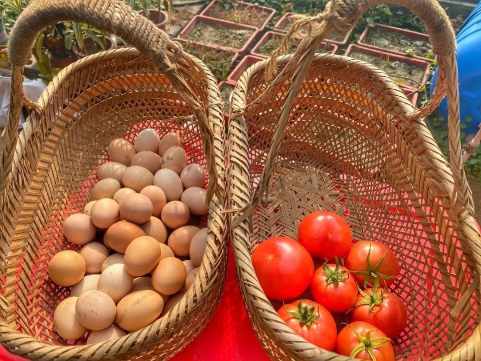 ArmanCs_1988's tweet photo. Grab these fresh, locally-grown veggies u0026 farm eggs today at the neighborhood market! Perfect for your week’s healthy meals. https://t.co/sSOh4nuIpN