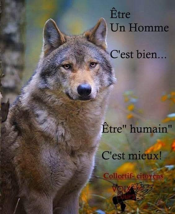 AdeaClaude's tweet photo. https://t.co/HY1lBFkXBg