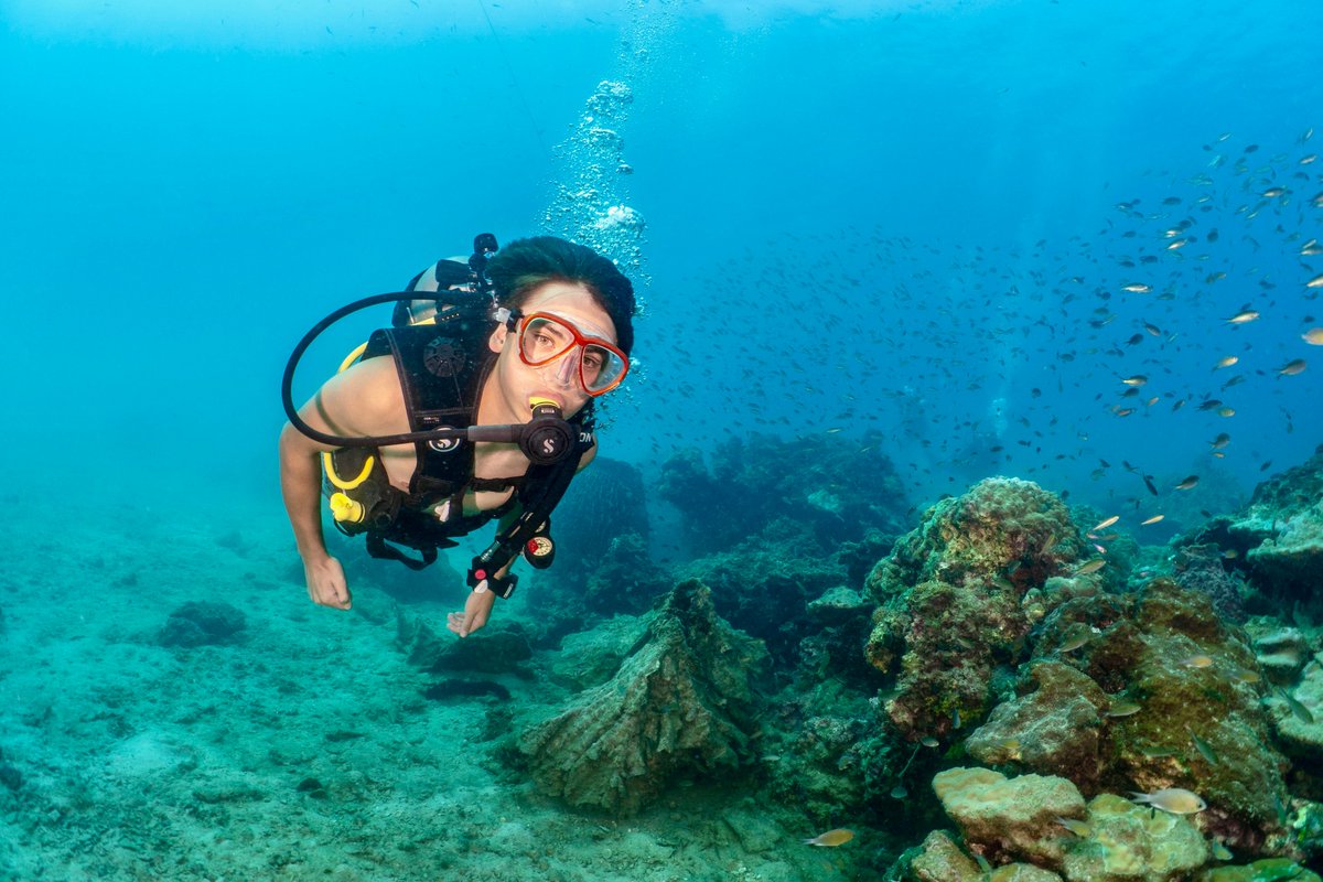 OliverMesic's tweet photo. Summer 2025 - @operationsmile Vietnam, Malaysia, Indonesia, Singapore - finally got my PADI advanced O/W cert. https://t.co/qGkDZQHJI9