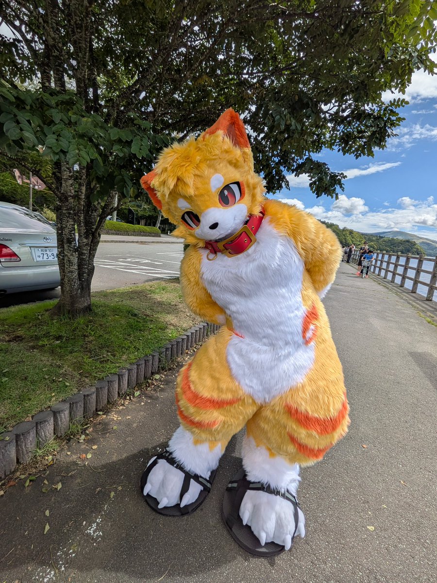KemoPito's tweet photo. 獣化して初めてのお外！
暑かったけどとても楽しかったよ！

#ふぁーろっじ
#りす村別荘 https://t.co/6VZGLuWQqZ