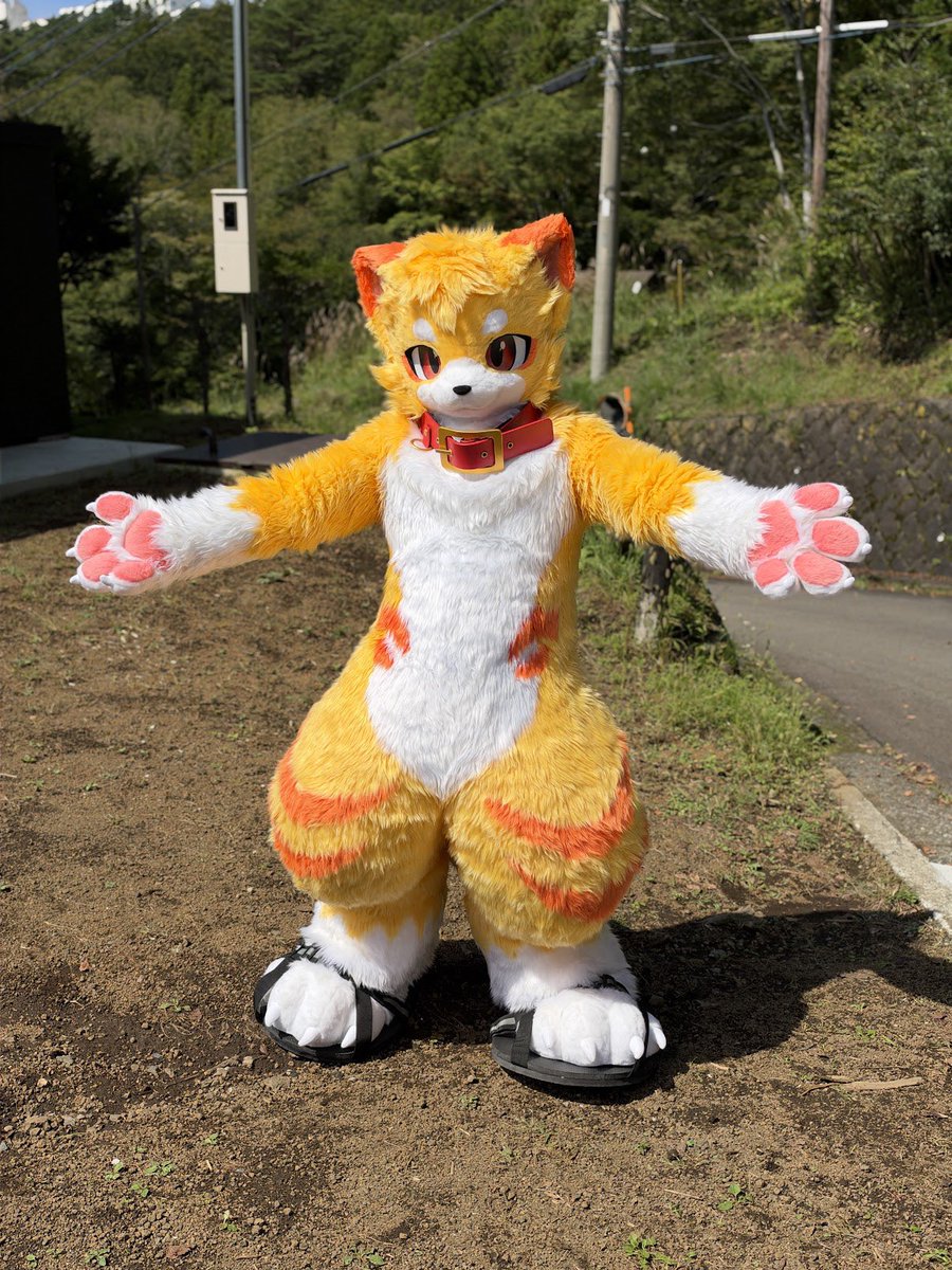 KemoPito's tweet photo. 獣化して初めてのお外！
暑かったけどとても楽しかったよ！

#ふぁーろっじ
#りす村別荘 https://t.co/6VZGLuWQqZ