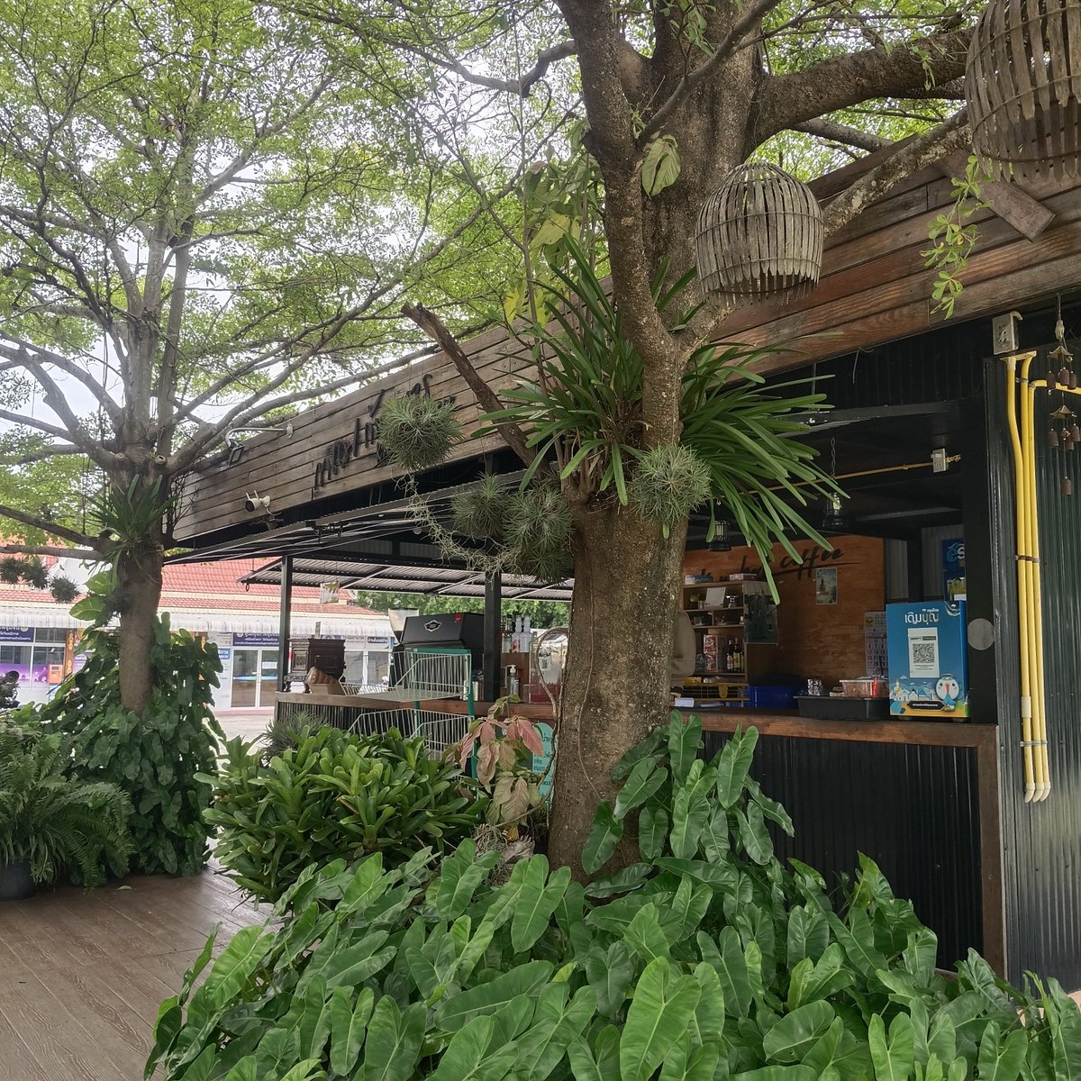 relax8cpz's tweet photo. #กาแฟก้นบาตร
#วัดวิมลนิวาส #ร้อยเอ็ด https://t.co/NV4Ec5PlzN