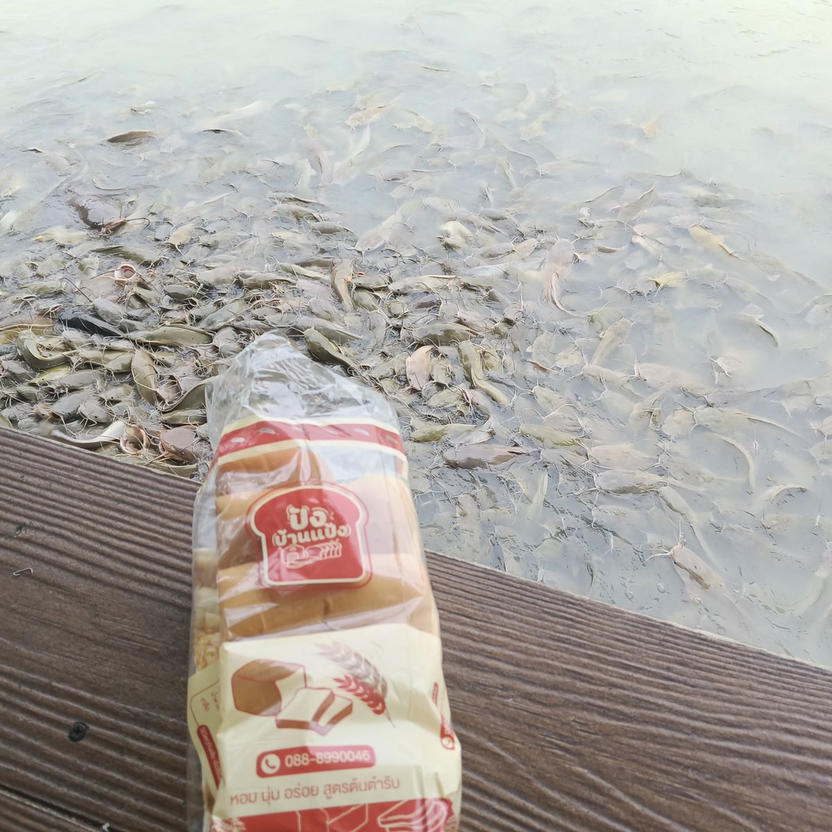relax8cpz's tweet photo. #กาแฟก้นบาตร
#วัดวิมลนิวาส #ร้อยเอ็ด https://t.co/NV4Ec5PlzN