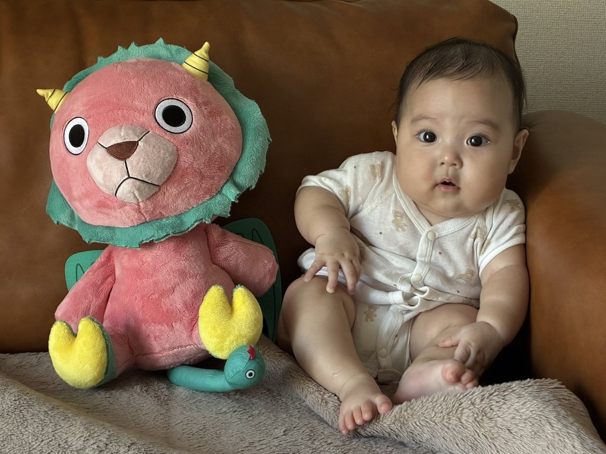 toru_2356's tweet photo. うちのキメラさんでかいから座ったベビちゃんと同じサイズ👶
だからちょっと怖いみたいww https://t.co/zd0NGIblUj
