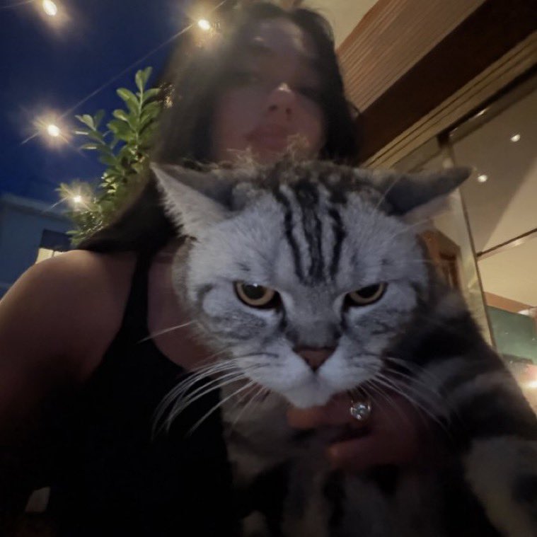 DuaLipa52's tweet photo. Kitho says andiamo 🐱 https://t.co/ySlqpa8d7e