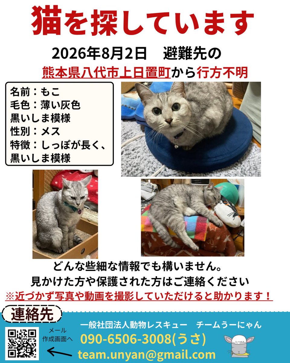 ____Usa's tweet photo. 【📣目撃情報をお願いします📣】

現在チームうーにゃんは、熊本地震で行方不明になった動物たちの捜索活動にあたっています。

地震の影響で、多くの動物たちが家族とはぐれています。
外での生活は普段お家で暮らす動物たちにとって、とても過酷です。一刻も早く見つけてあげたいと思います。

「似た子を見かけた」「鳴き声を聞いた」など、どんな小さな情報でも構いません。

見かけた際は、追いかけずに、場所・時間・写真（撮れれば）を記載の連絡先までお知らせください。

team.unyan@gmail.com

090-6506-3008(代表うさ・緊急)

皆さまの情報が、大切な命をつなぐ力になります。

拡散・情報提供のご協力をよろしくお願いいたします。

#熊本地震
#ペット捜索
#行方不明
#迷子犬
#迷子猫