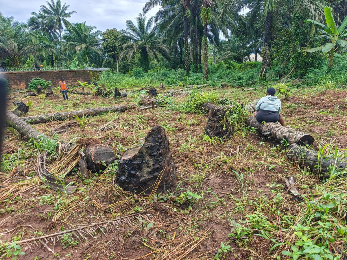 EzekaTochi200's tweet photo. 🌱 Farm Inspection at Anara, Isiala Mbano, Imo State.

A client contacted us over poor plantain farm performance. We inspected the plantation to identify the challenges and develop practical solutions for improved productivity.

#imostate
#divineessentialsfarms 
#PlantainFarming https://t.co/OvH1jIorT1