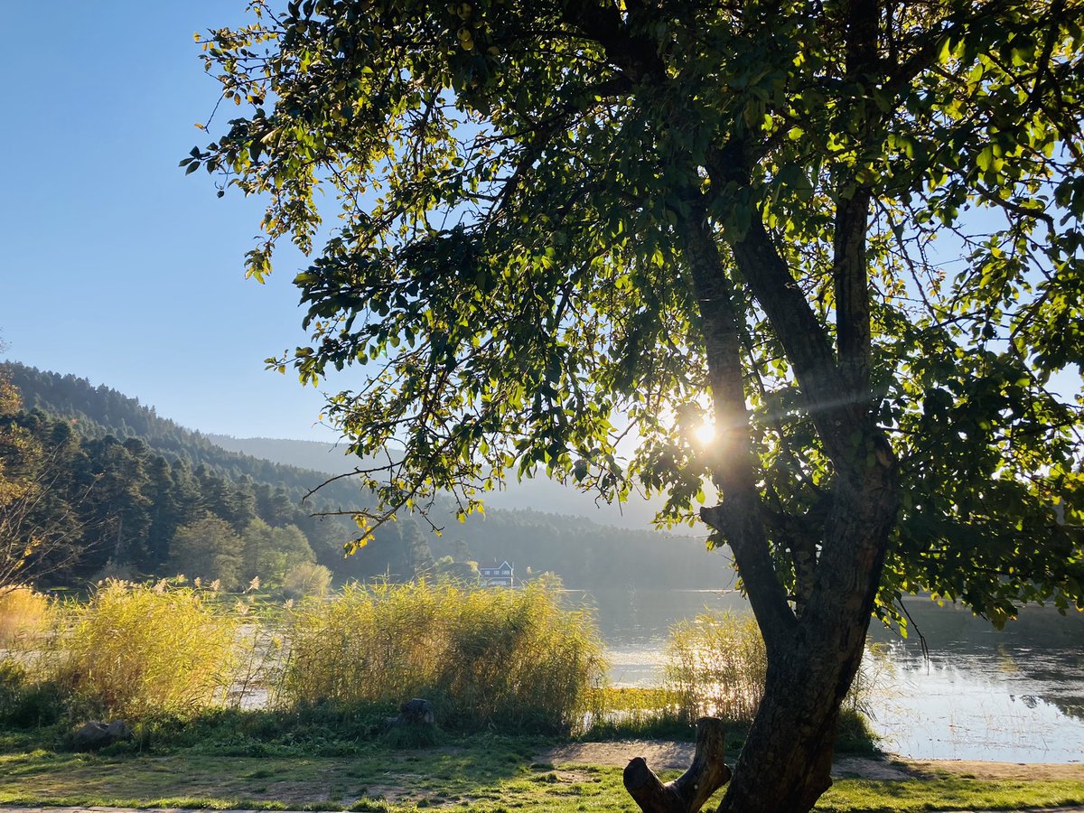 OktayNalan's tweet photo. Günaydınlar☀️
Pırıl pırıl bir gün,sağlık,afiyet ve huzur diliyorum .Ve tabi ki güzel kazanımlar🙏🏻
@unvault #BUGZ
Böcekler burada çok mutlu https://t.co/KQbfv7xfr7ğa yeşil ve havası tertemiz☺️
📍Bolu https://t.co/ijWA4bNVrQ