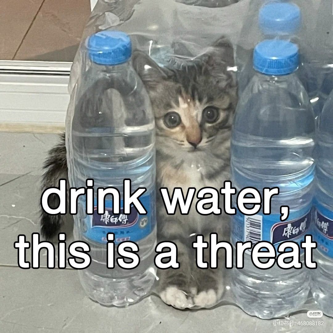 kiyomidaily's tweet photo. as ur domme... i need u hydrated so u can work ur ass off for my money. <3 https://t.co/3sHmZH8faq