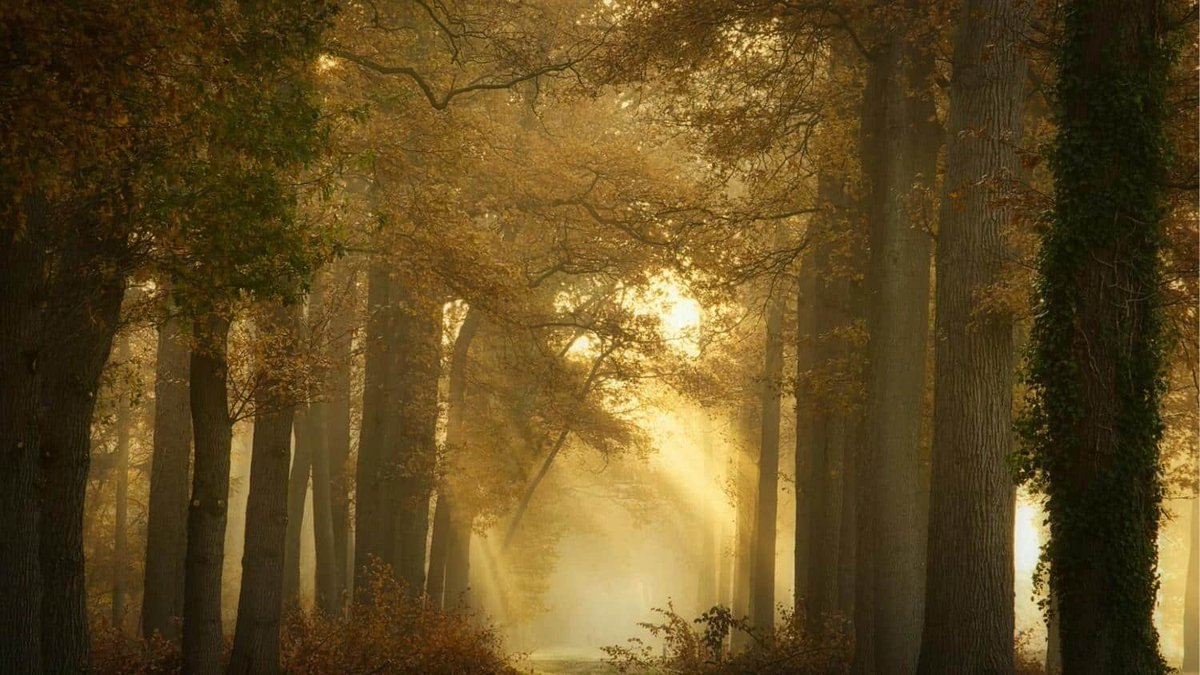 vingaosuke's tweet photo. WTelcome to the Agora.he Agora: Daily Open Thread https://t.co/xNnPvwQylC