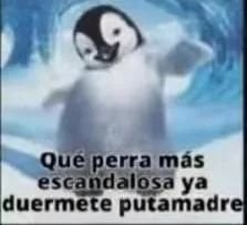 mingocatlover's tweet photo. Después de quitar el like, Armando literalmente dijo https://t.co/zv5jet5QSF