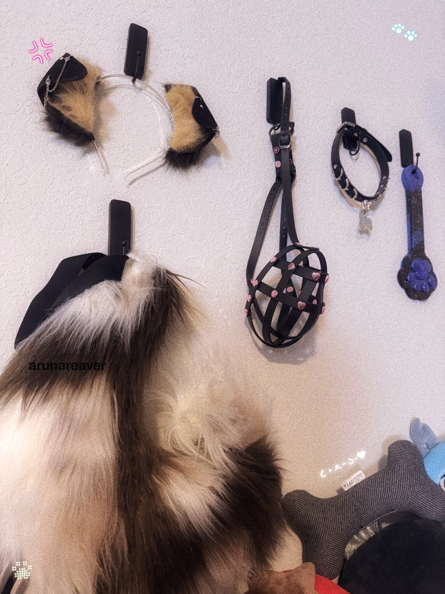pupreaver's tweet photo. woof 🐶 https://t.co/QB2yXU0FgH