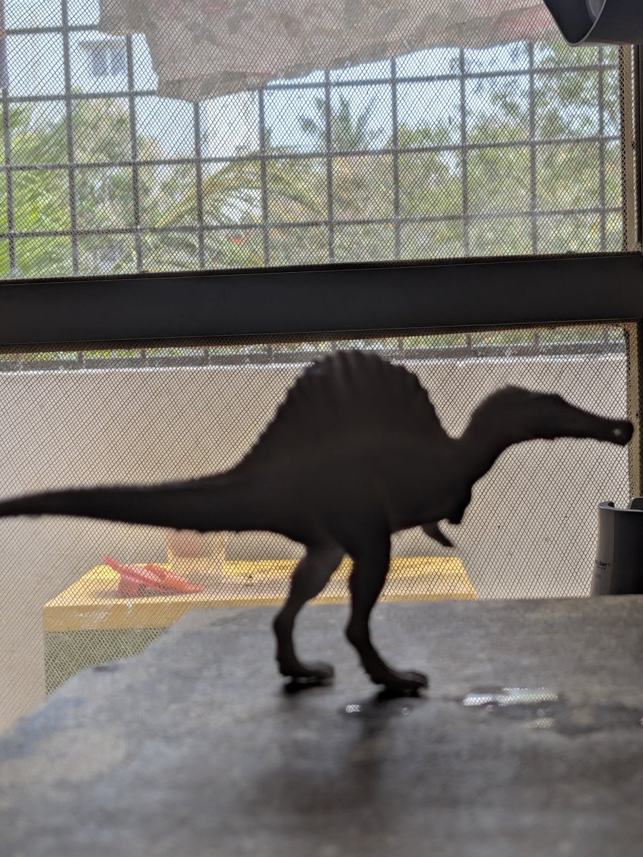 muknddd's tweet photo. 3d printed my first spinosaurus and it immediately lost its arms, either way off to my frens to get it painted. https://t.co/b7GalK9s3j