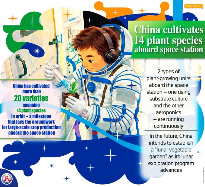 RevesdEspace's tweet photo. 👨🏻‍🚀 La Chine annonce avoir cultivé plus de 20 variétés de 14 espèces végétales dans sa station spatiale depuis le début des vols habités de longue durée en 2021.
Des cultures sur substrat et en aéroponie de laitue, de carotte, de tournesol, de pomme de terre, de blé, ... https://t.co/deZBRYapIT