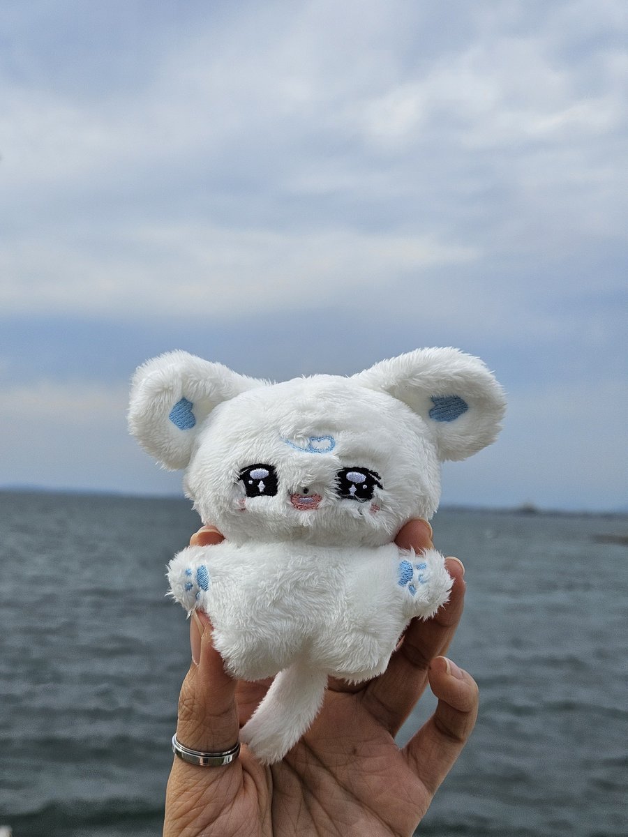 yurmi_S2's tweet photo. https://t.co/gokJqx7rv7