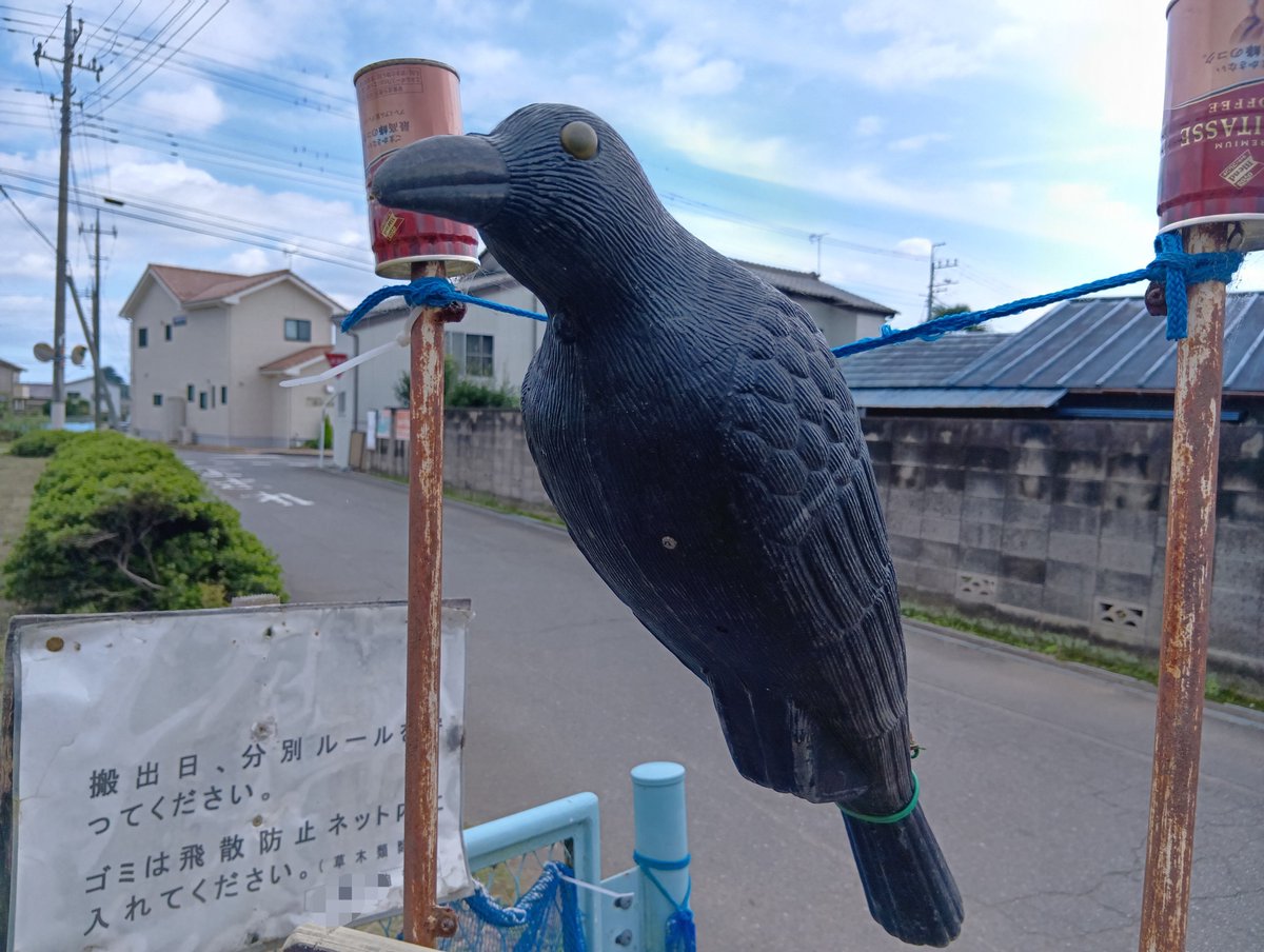 hull_04's tweet photo. 今日のおさんぽ。 https://t.co/yfFcylNrVO
