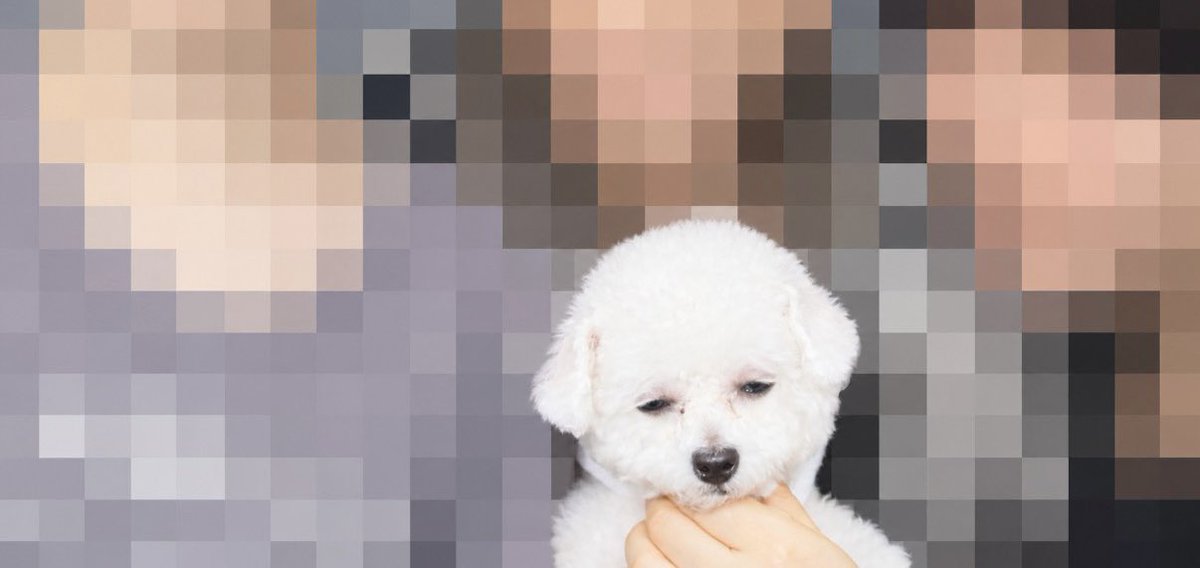 pigphilada's tweet photo. 가족들끼리 포토이즘 찍엇는데 우리개 표정봐 https://t.co/kR9DQ6SrX5
