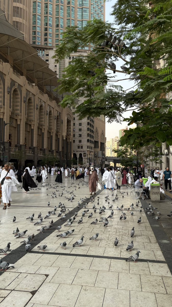 do0ona_3's tweet photo. صبـاحات الحـرم المُفضلة 
صلاة خلف الشيخ ماهر المعيقلي ، قهوة مُفضلة مع الأحبة 
زحام من النعم الحمدلله ❣️ https://t.co/5LBfh0gVLV