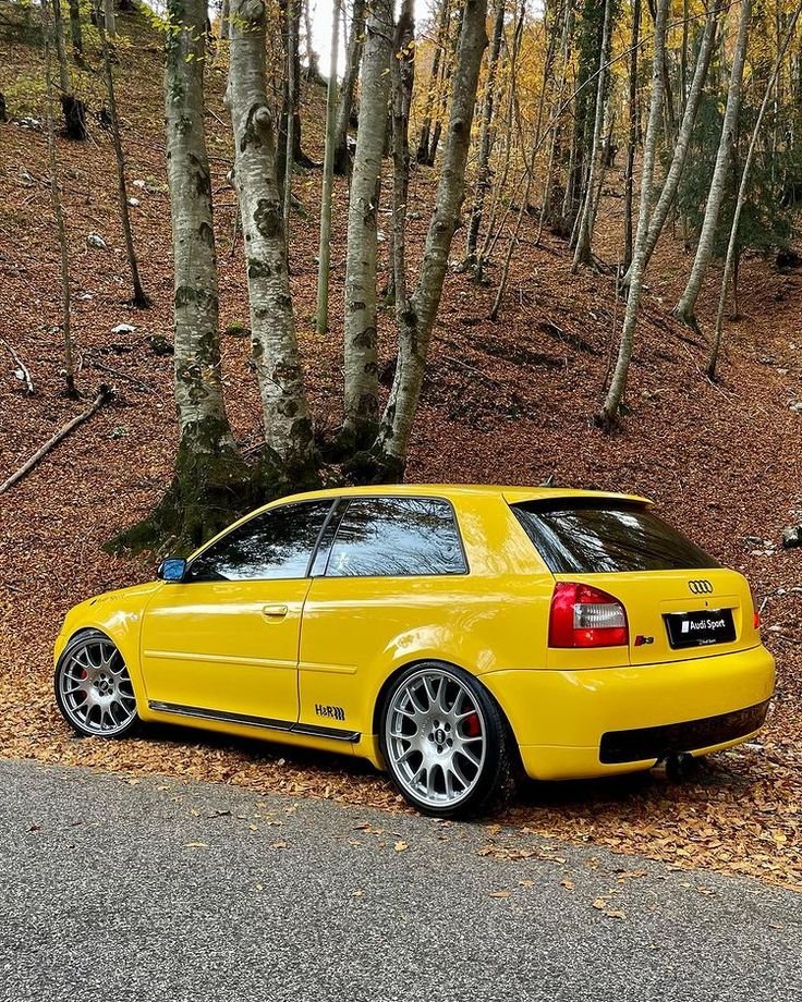 dnprrll97's tweet photo. Buenos días y feliz jueves 🌥️
Cuando el paisaje otoñal y las buenas máquinas se combinan a la perfección 🍂💛
#yellowpassion #yellowpass #audi #s3 #s38lsociety #s38l #firsgen #audisport #bbs #bbswheels #autumn #quattro #audis3 #pikachu https://t.co/gFJloYGzOO