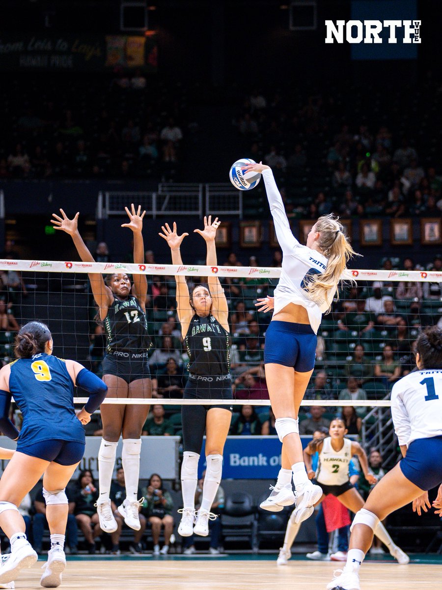 northvue's tweet photo. Outrigger Champs 

The Hawai’i Rainbow Wahine Women’s Volleyball team defeated UC San Diego in 5 sets to claim the 2026 Outrigger Invitational Trophy. Read more on our website: https://t.co/jRA635Aajj 

📸: @pakelawheeler https://t.co/878SDJWQmY