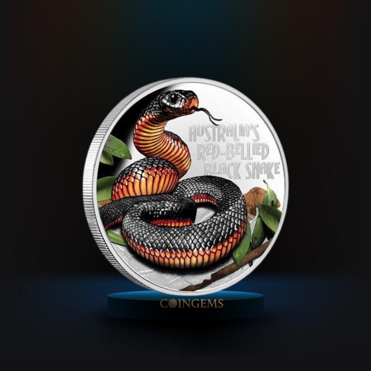 coingemscom's tweet photo. Deadly. Dangerous. Striking.

2022 Red-Bellied Black Snake

 1oz 99.9% Silver
 Proof Coloured
 Tuvalu $1
 Only 2,500
🛒 [https://t.co/wmvFa664ha]
#CoinGems #PerthMint #SnakeCoin #SilverCoins https://t.co/x8lZXFgw1l