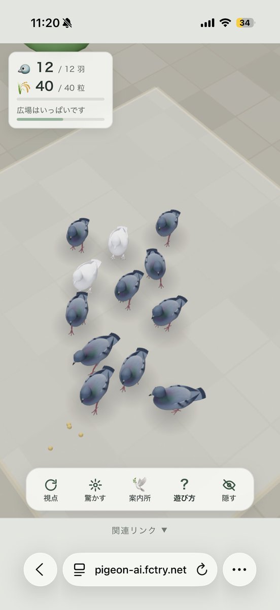 umi_26_n's tweet photo. 結構白くるな〜っておもってたら
いい確率だったのか〜白鳩さん🕊 https://t.co/QaZXUBwFVm