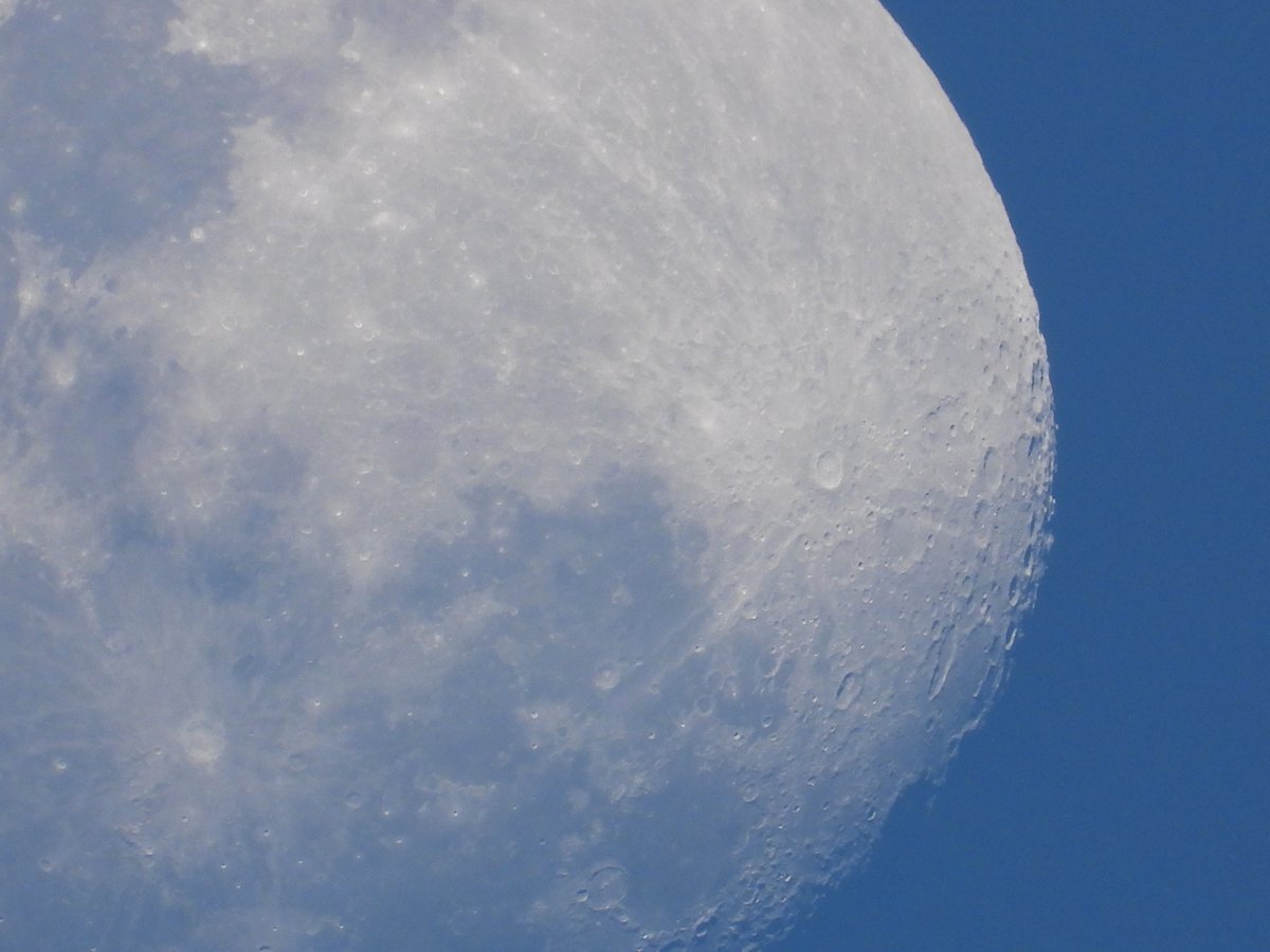 Educ8ed84's tweet photo. I recently bought a second hand Nikon P1000, some of my 1st pictures. Feedback welcome ☺️ https://t.co/Ag5zW1Yg1P